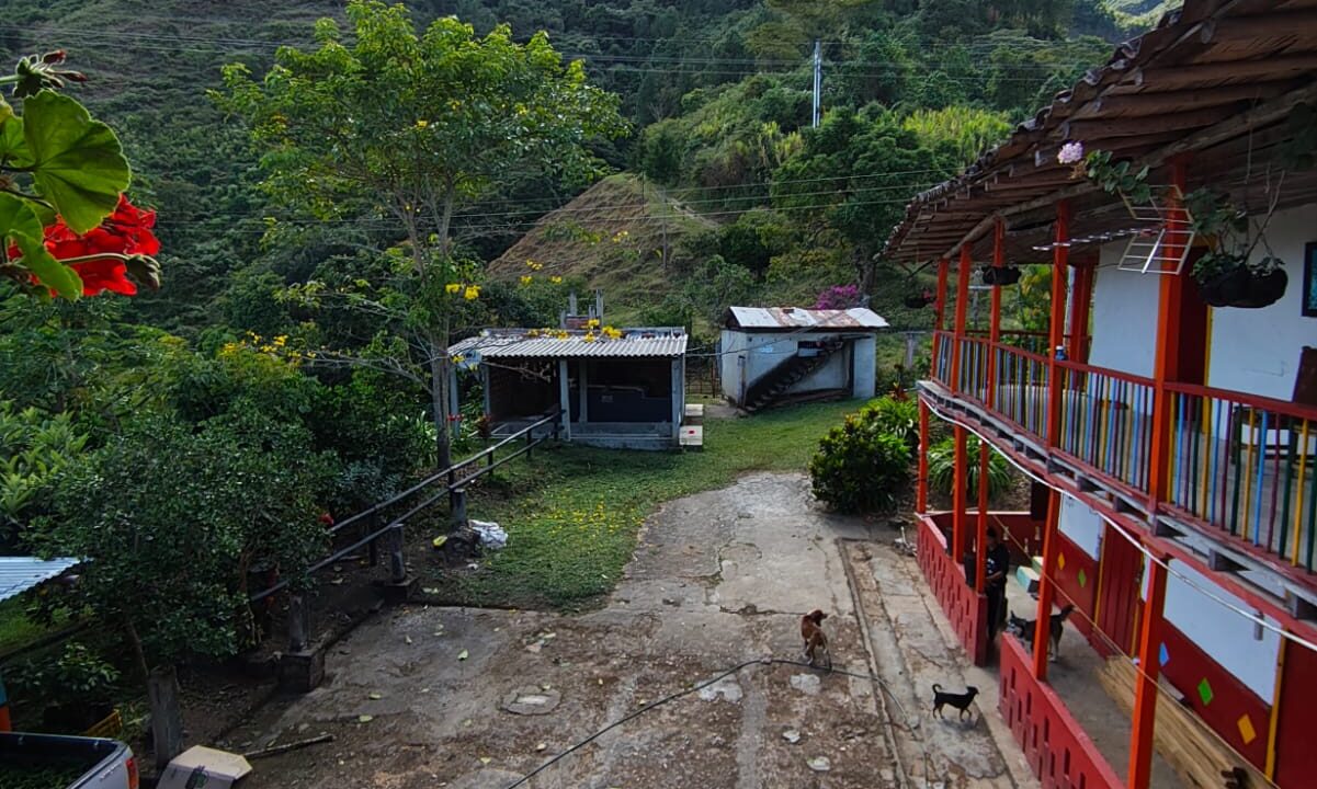 WhatsApp Image 2025-11-11 at 3.46.30 PM (1)