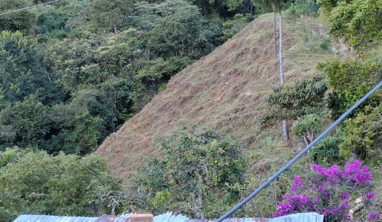 WhatsApp Image 2025-11-11 at 3.46.30 PM