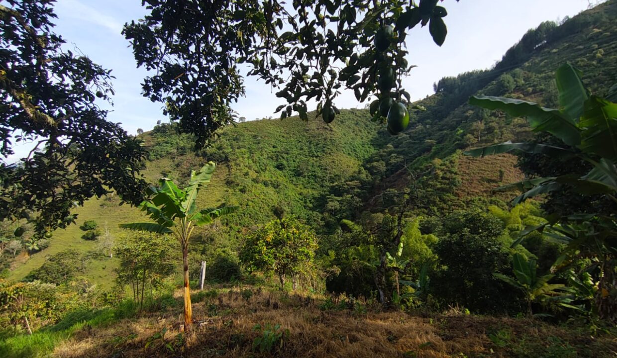 WhatsApp Image 2025-11-11 at 3.46.30 PM (3)