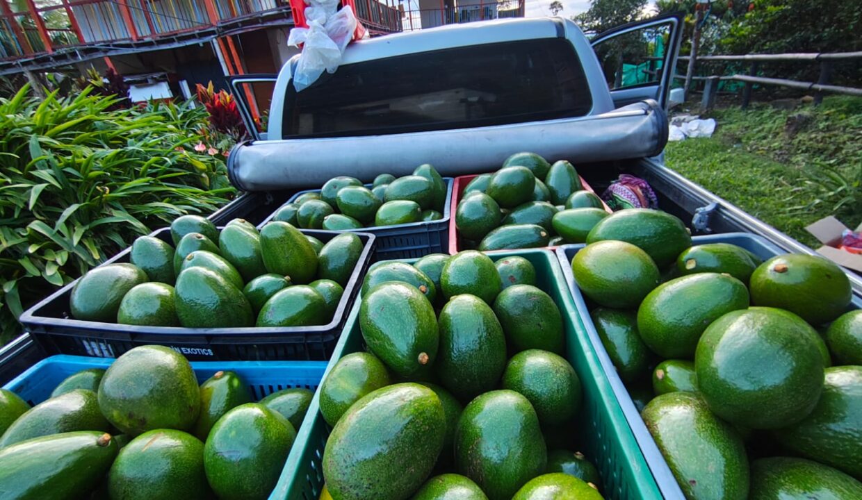 WhatsApp Image 2025-11-11 at 3.46.31 PM