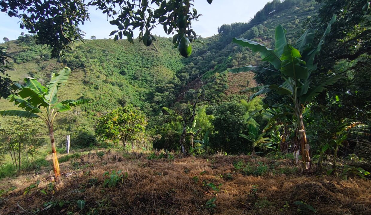 WhatsApp Image 2025-11-11 at 3.49.22 PM