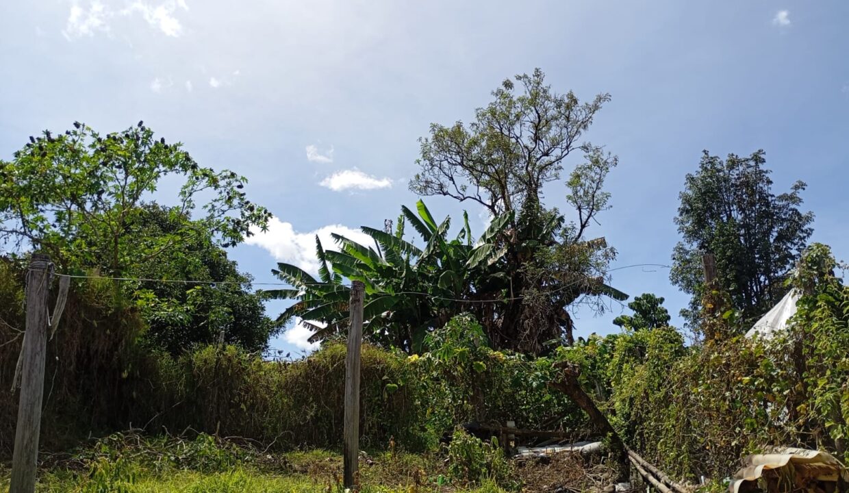 WhatsApp Image 2025-09-13 at 11.33.02 AM