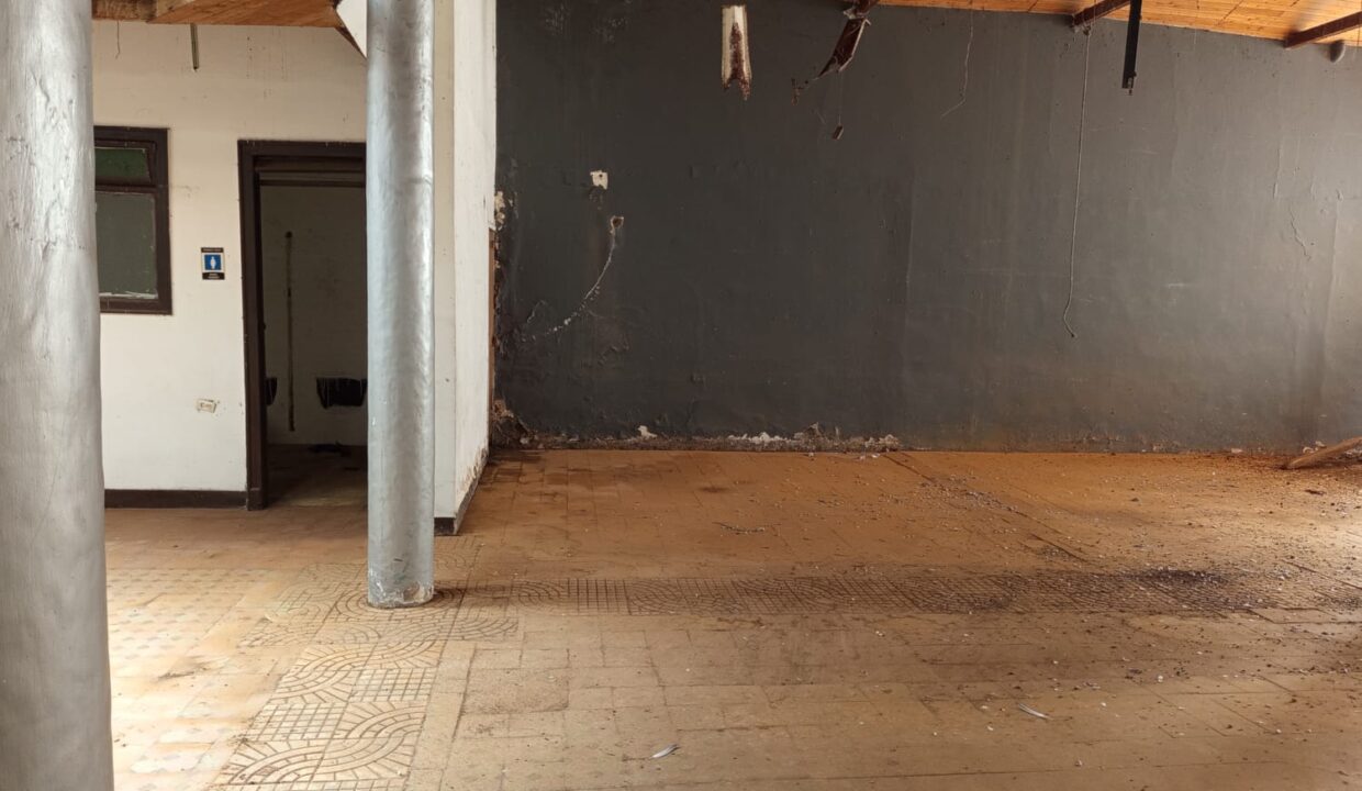 WhatsApp Image 2025-11-19 at 1.52.33 PM