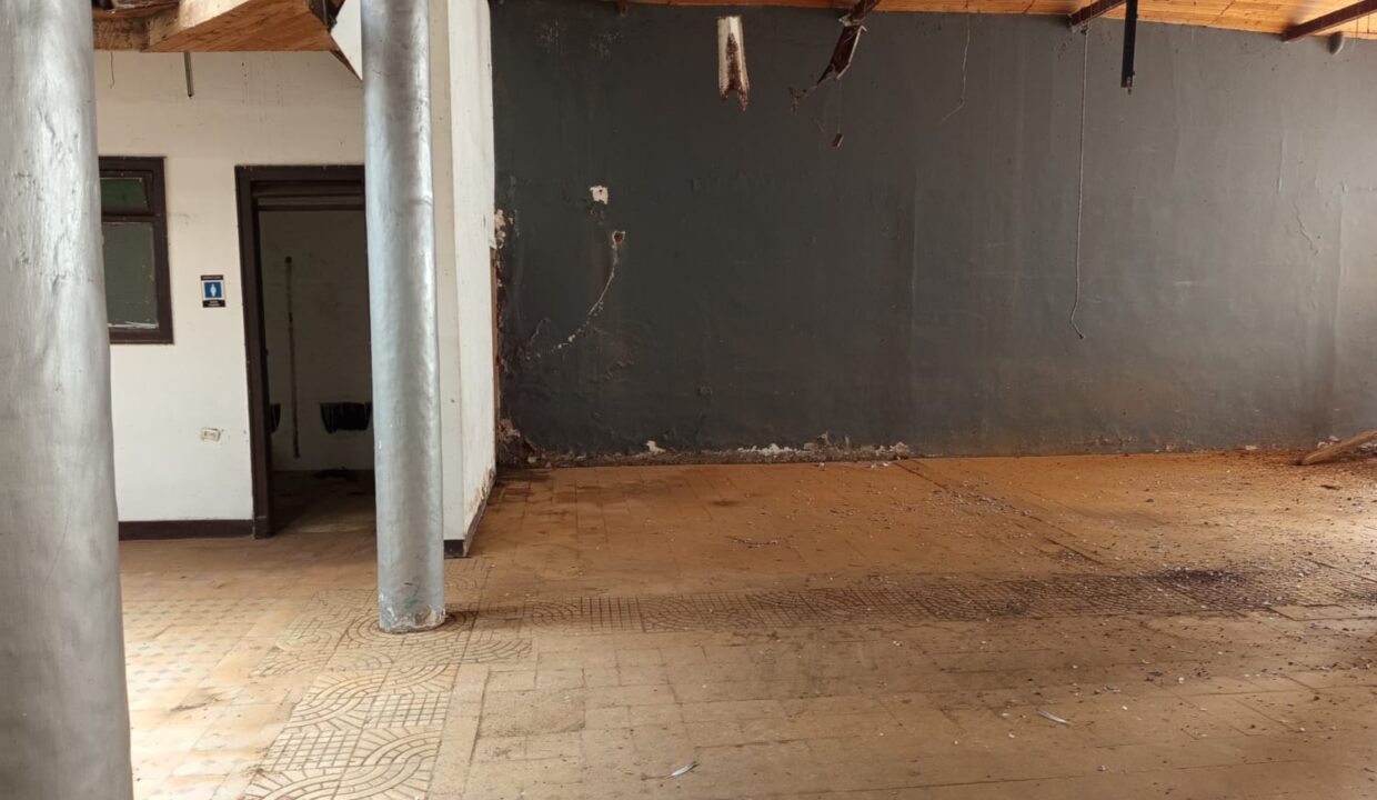 WhatsApp Image 2025-11-19 at 1.52.34 PM