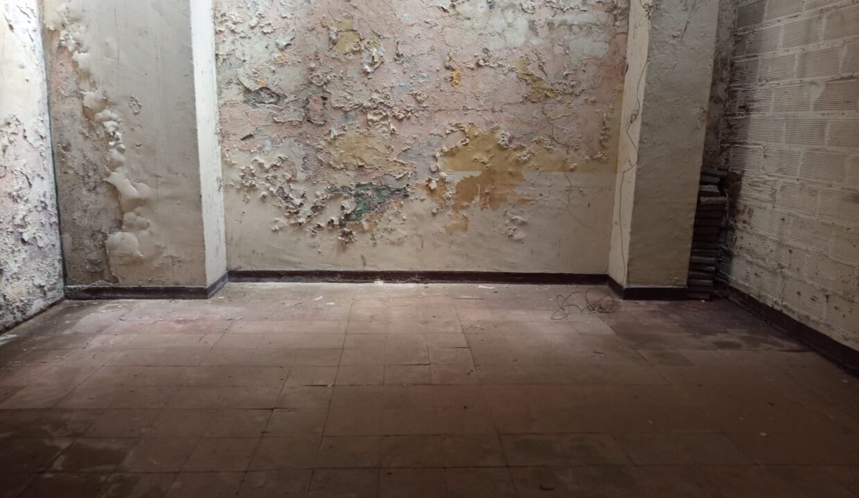 WhatsApp Image 2025-11-19 at 1.52.35 PM