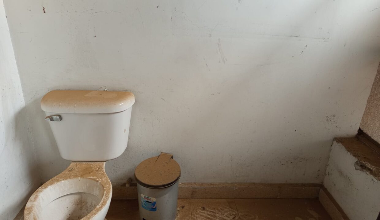 WhatsApp Image 2025-11-19 at 1.52.42 PM