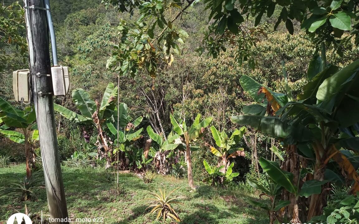 WhatsApp Image 2025-12-08 at 8.23.20 AM