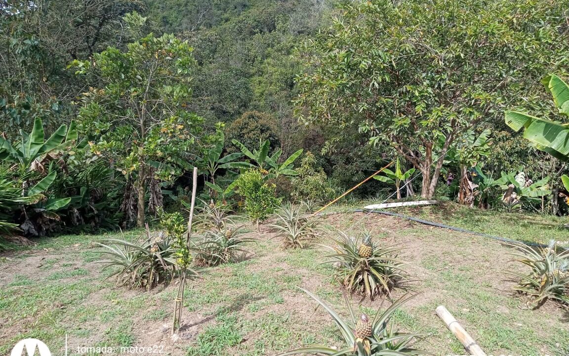 WhatsApp Image 2025-12-08 at 8.23.20 AM (2)