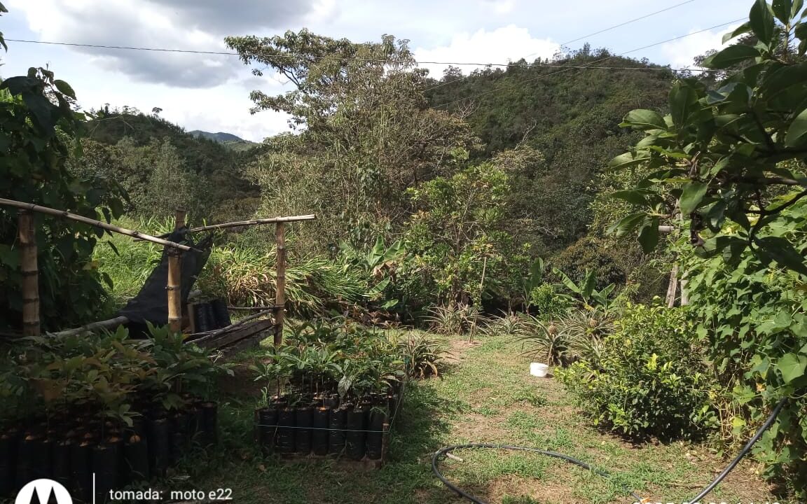 WhatsApp Image 2025-12-08 at 8.23.20 AM (3)