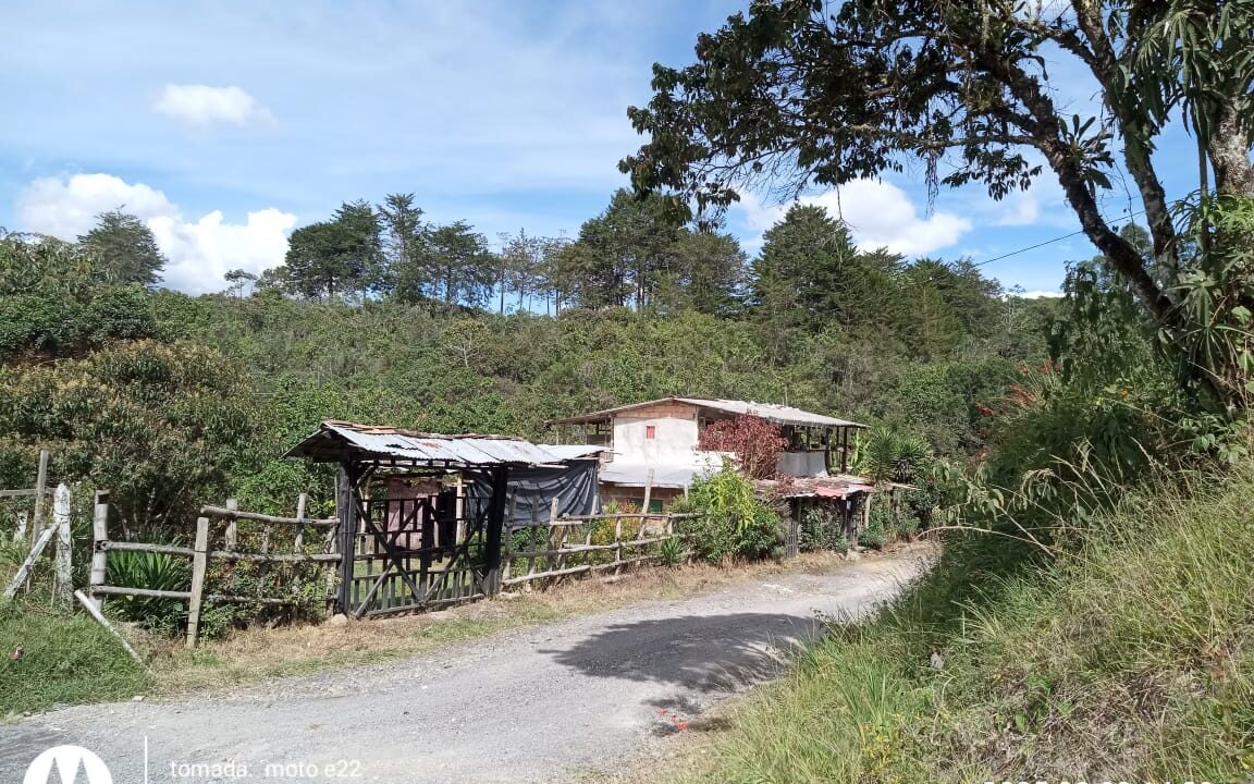 WhatsApp Image 2025-12-08 at 8.23.21 AM