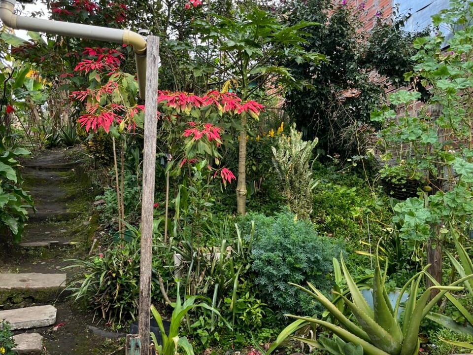 WhatsApp Image 2026-01-22 at 8.33.47 AM (4)