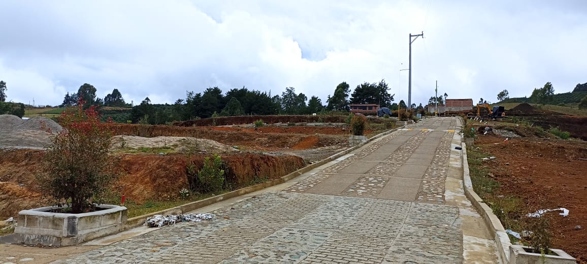 WhatsApp Image 2024-11-01 at 3.35.24 PM (1)