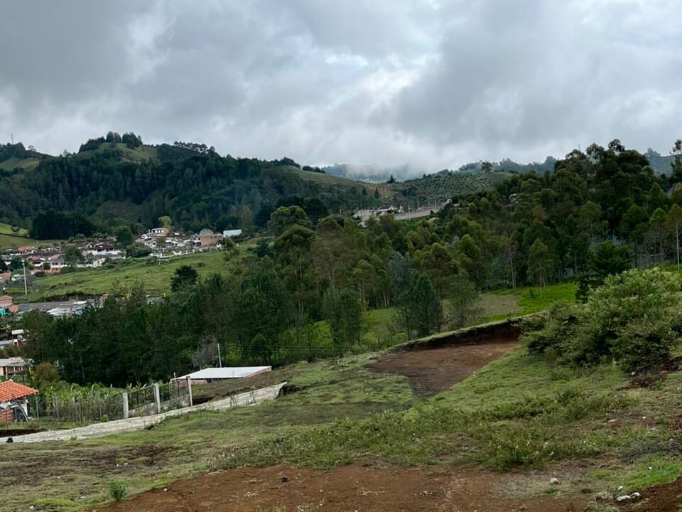 WhatsApp Image 2026-02-02 at 2.07.28 PM (3)