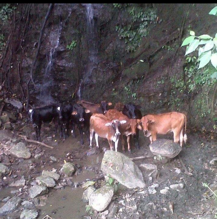 WhatsApp Image 2026-07-09 at 4.01.41 PM